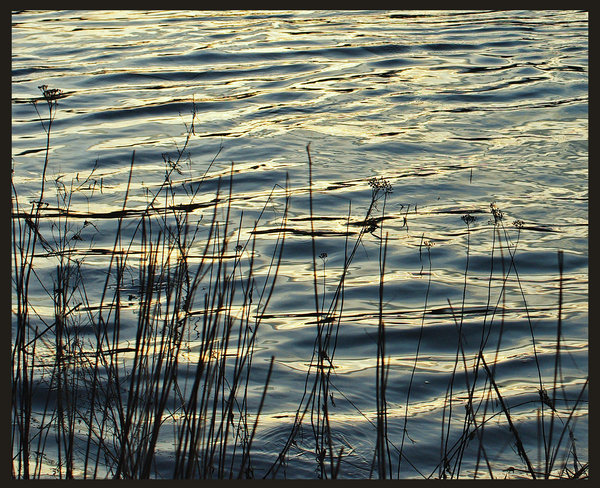 Sunset ripples.