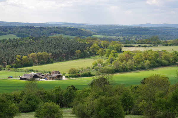 Surrey Hills in Spring