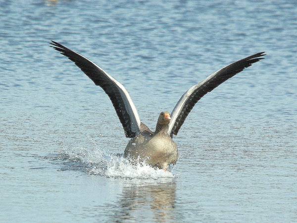 Take Off