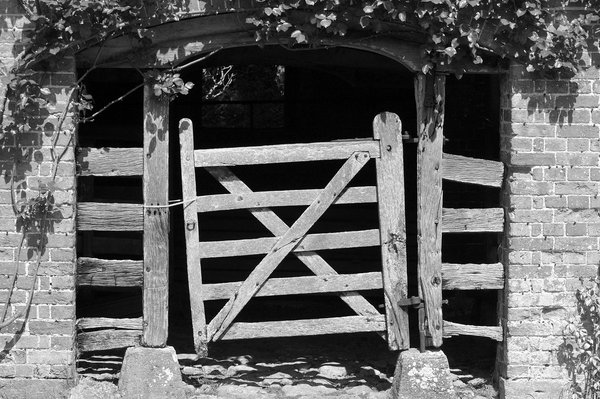 Veal Pen