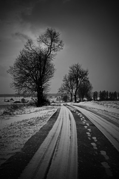 Winter