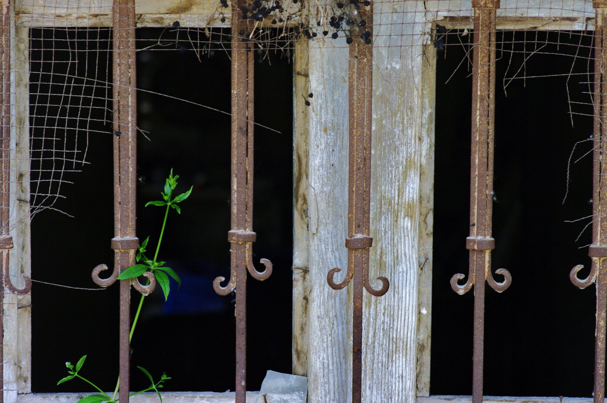 Old window