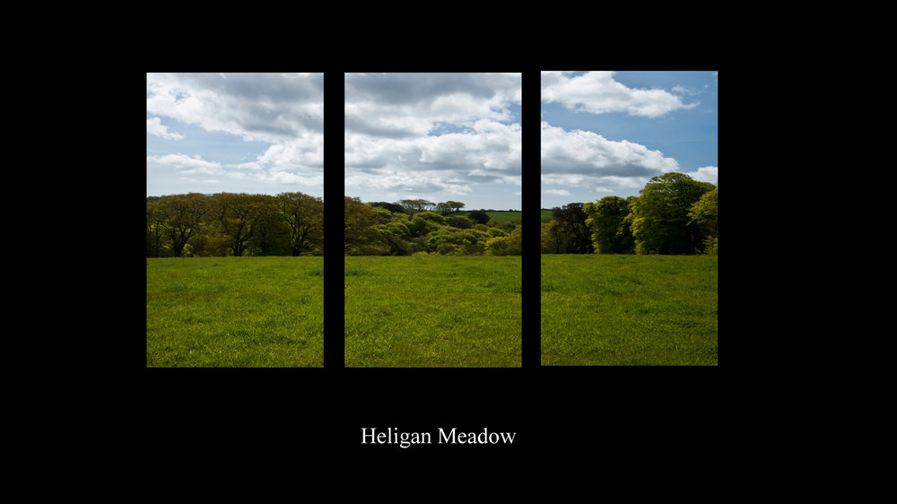 Heligan Meadow