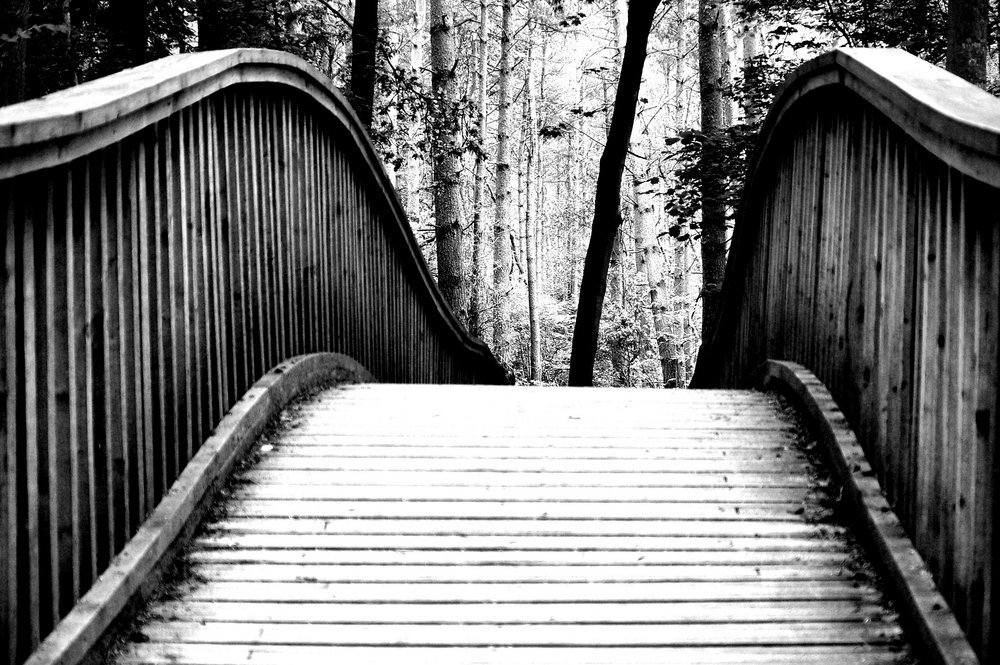 salcey bridge