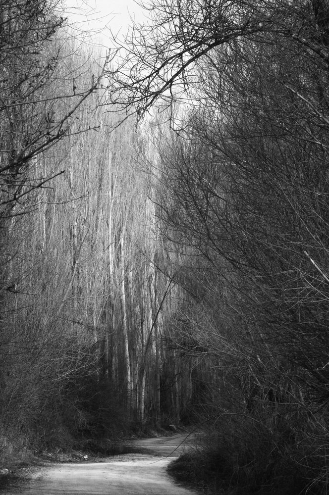 The Path