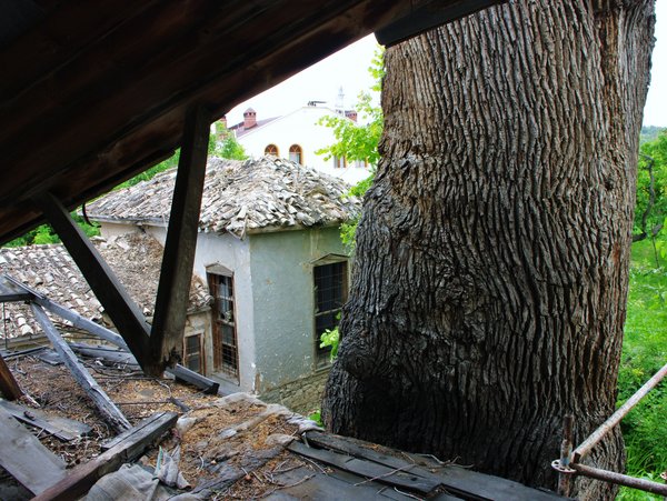 Additional building in the garden 2