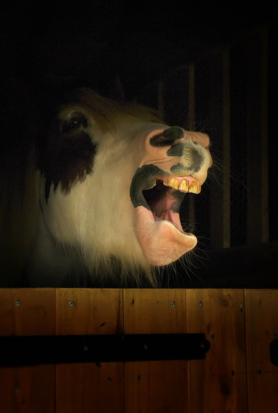 'Avin a Larf !