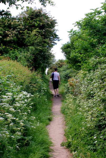 Center Path