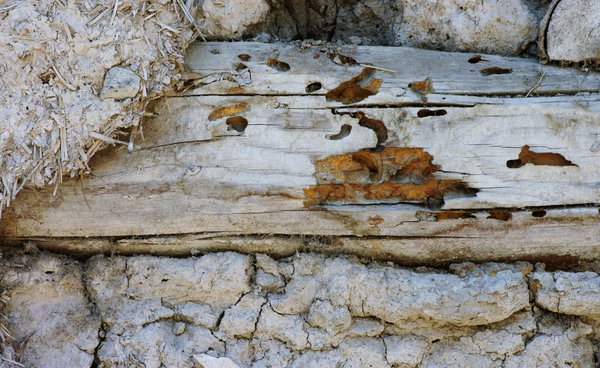 Detail of Garden Wall 4