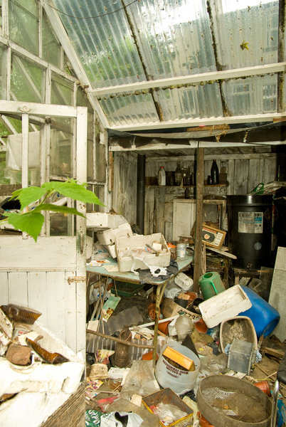 Disused Greenhouse