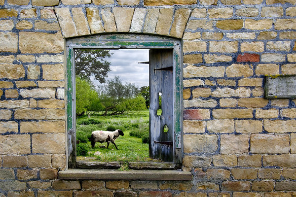 Picture Window