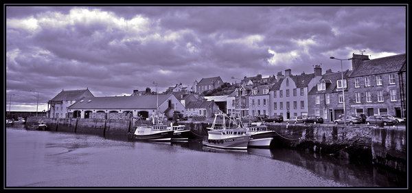 Pittenweem Harbour