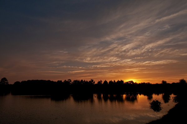 Summerfield Sunset