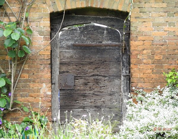 The secret garden