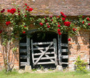 Veal Pen and Roses border=