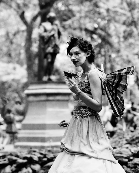 Fairies in the Park