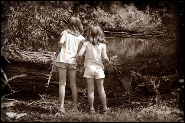 Feeding the Ducks