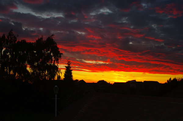My Sunset