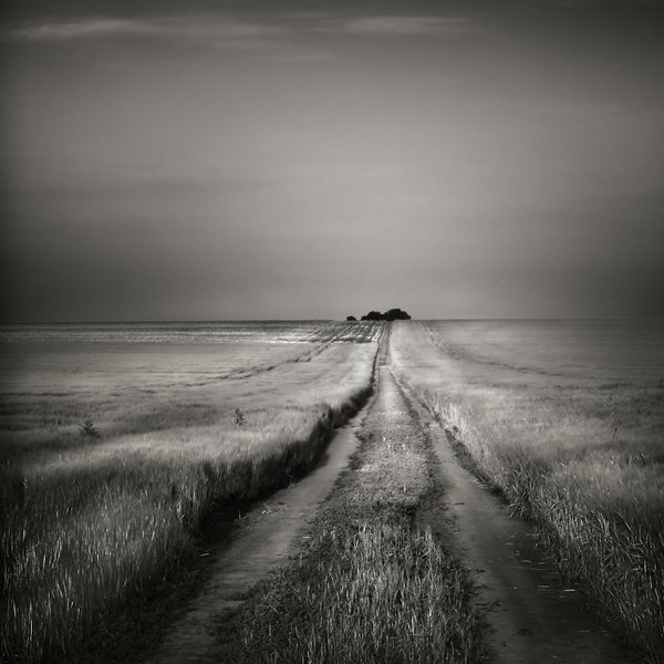 road to the horizon
