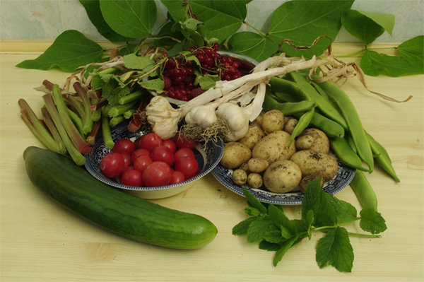 Summer Fruits of Labour