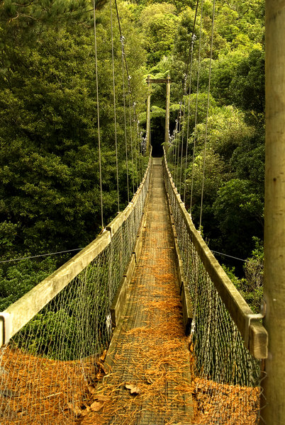 Walk with me...