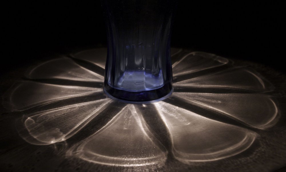 light flower