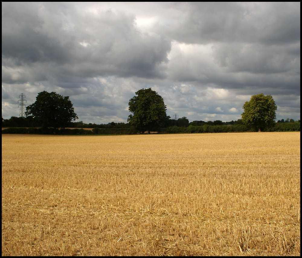 Stubble-field with Three Trees and an  Approaching Storm