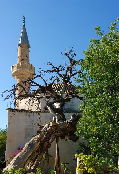 A Mosque in Ala�atı