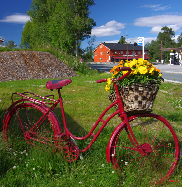 Bicycle