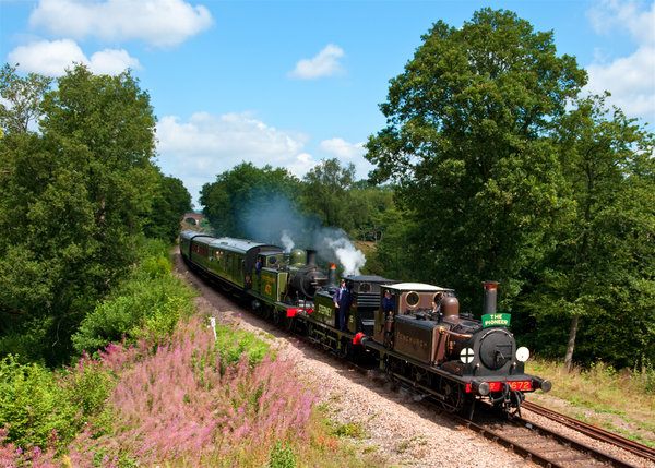Bluebell Railway 50th Anniversary Gala