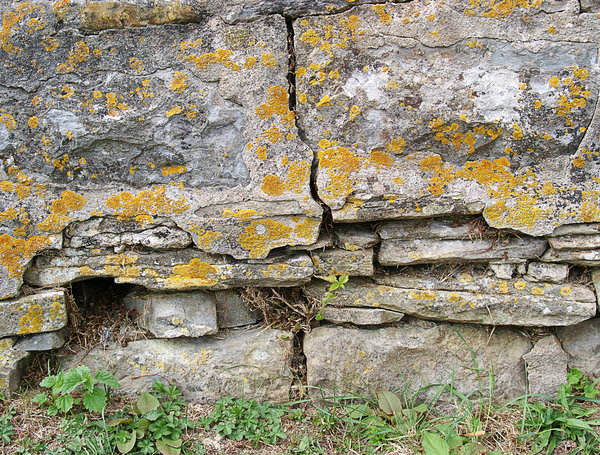 Fissure