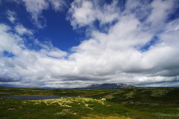 Hardangervidda