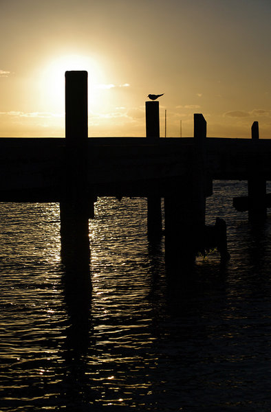 Jetty