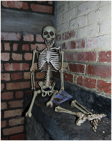 Skeleton in the Tunnels