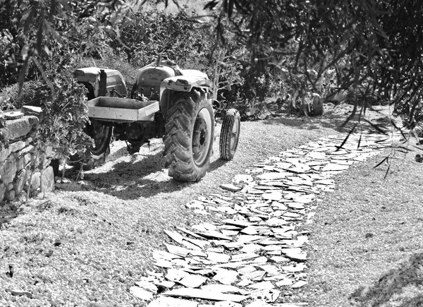 Track and Tractor