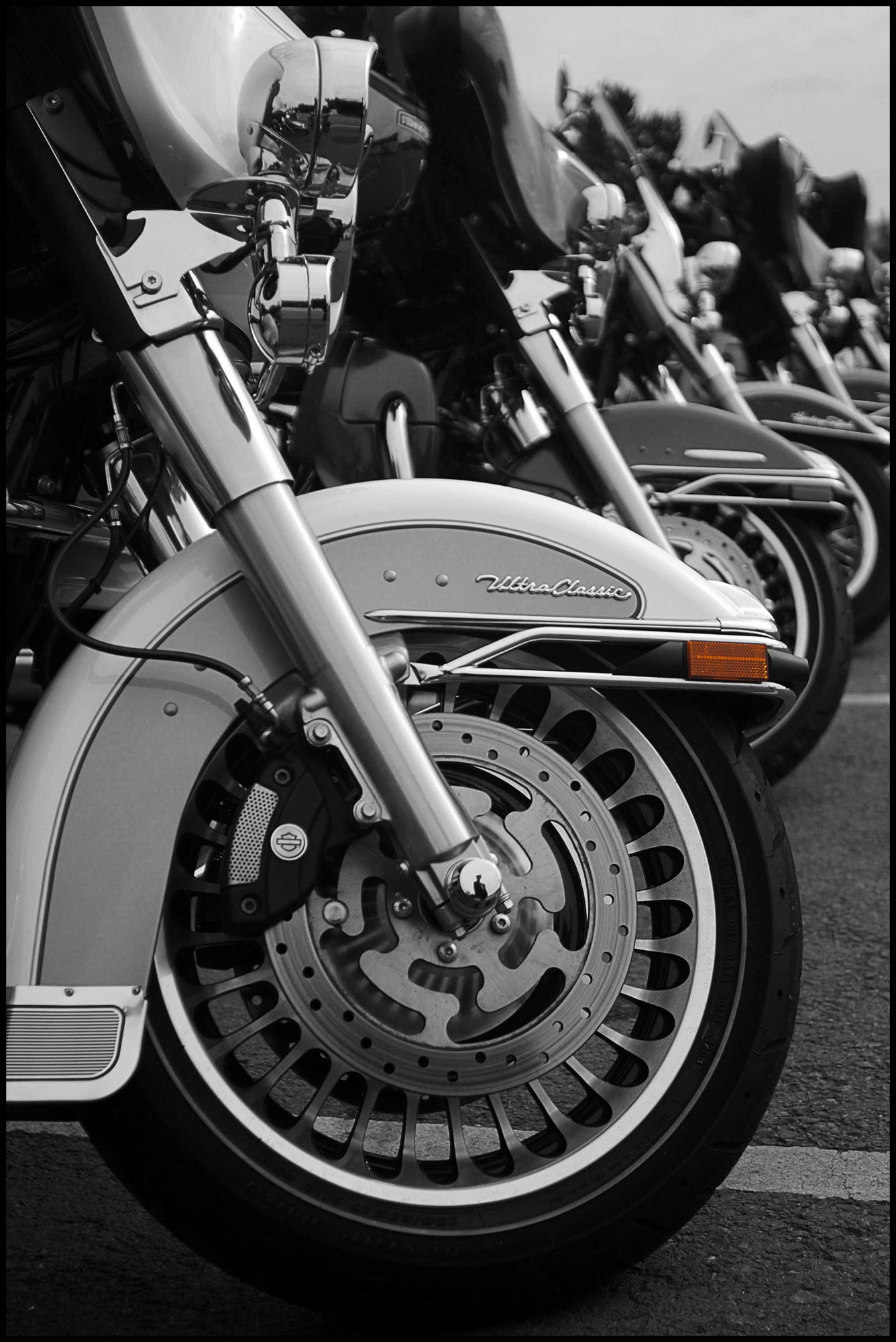 A  Line-up of Harleys