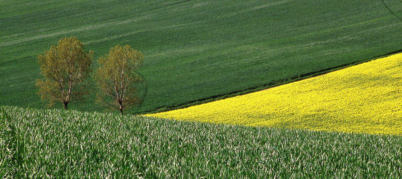 Coppia Solitaria(Lone Pair)