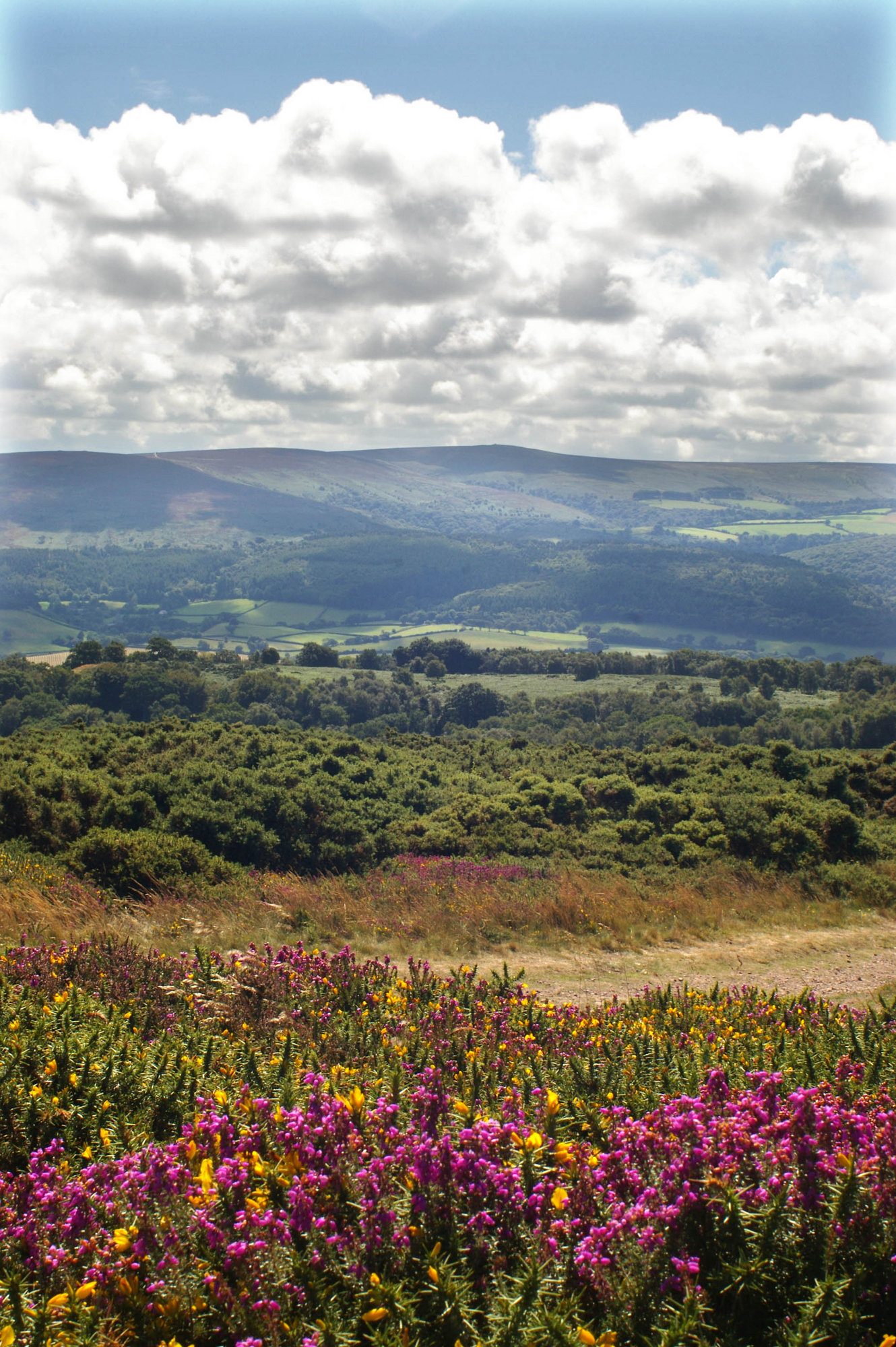 Selworthy Beacon, Somerset