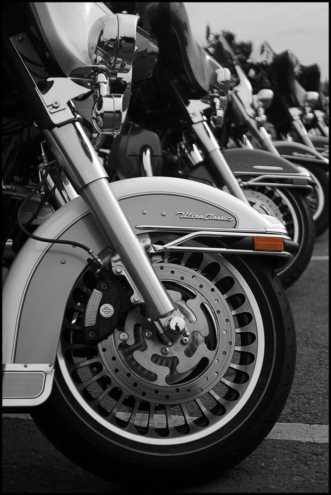 A  Line-up of Harleys