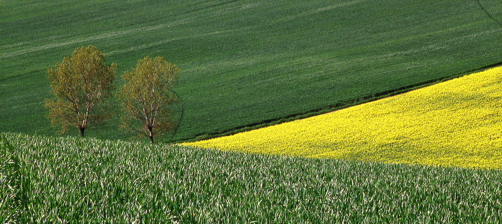 Coppia Solitaria(Lone Pair)
