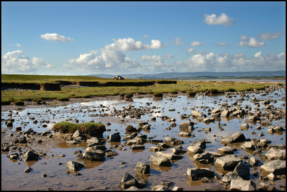 Flood Waters, River Brue, Somerset