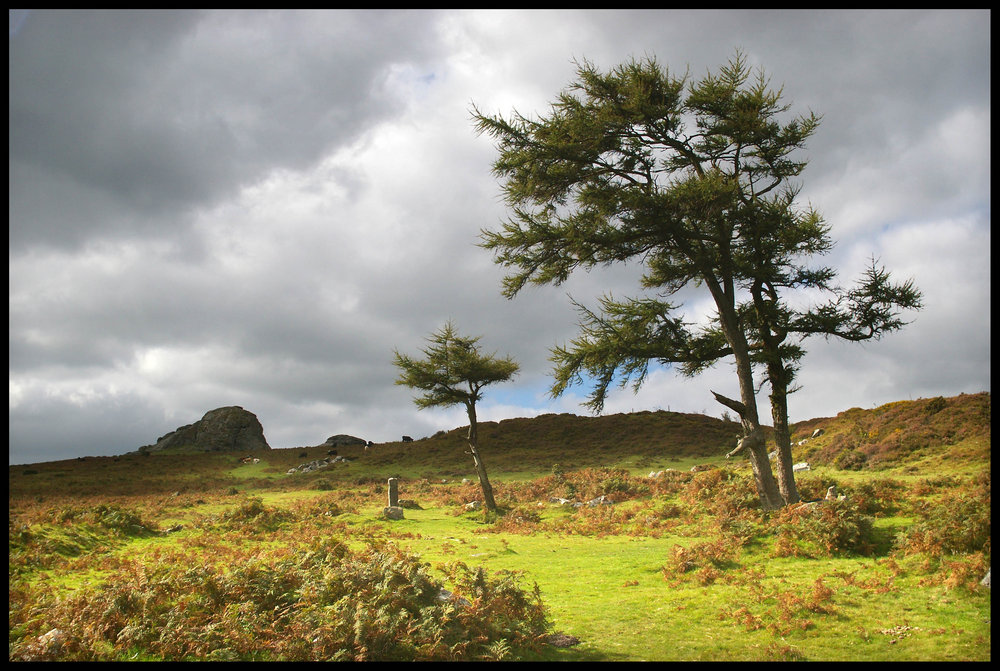 Haytor, Dartmoor