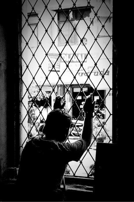 Window