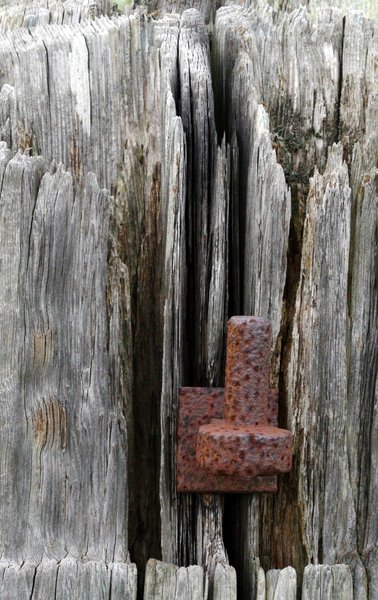 At the farm gate