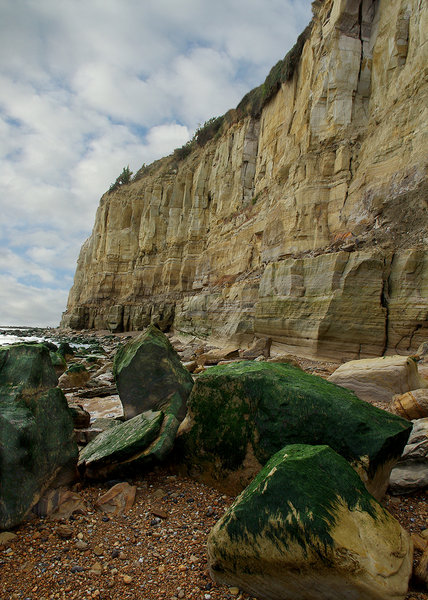 Fairlight Cliffs