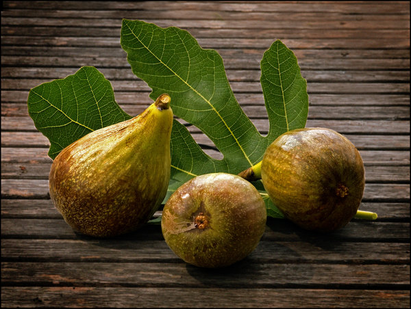 Fresh Figs