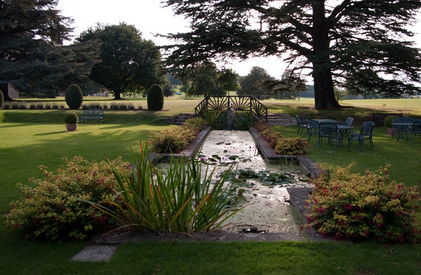 Garden pond