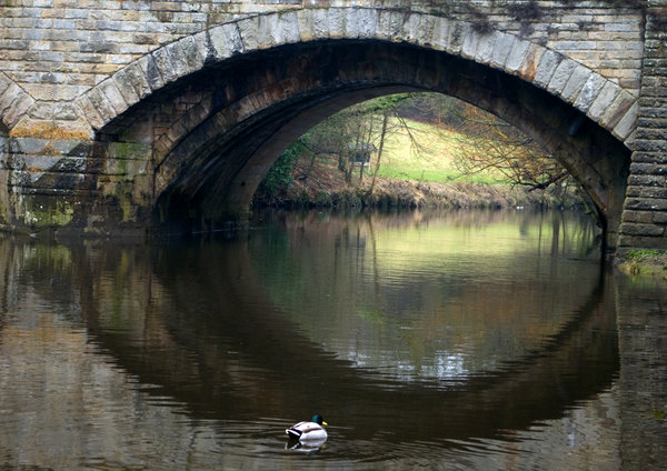 low bridge duck
