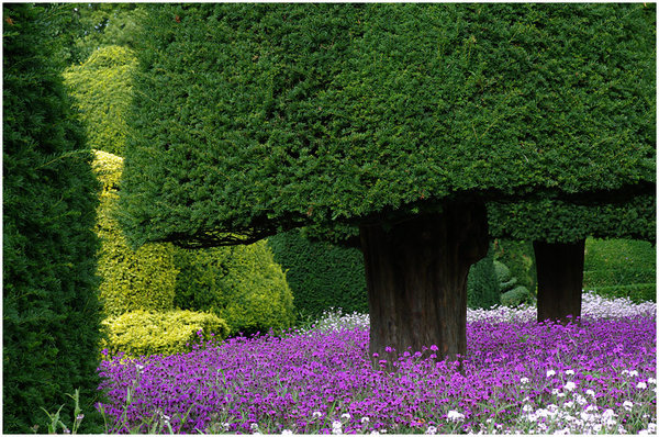 Nature's Shapes and Colours