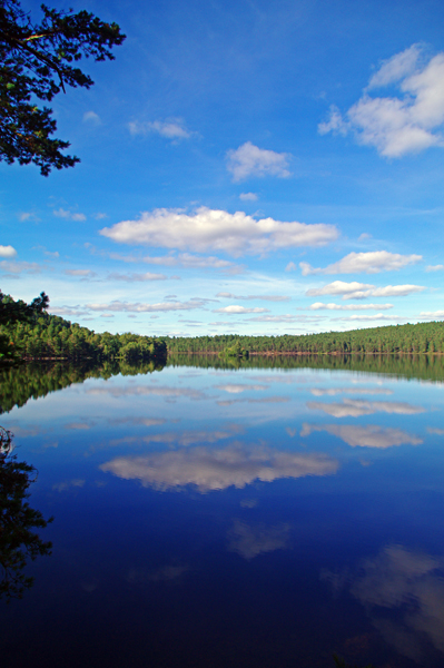 Reflections